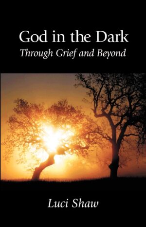 God in the Shadows: Finding God in the Back Alleys of our Scary Lives by Barry Callen